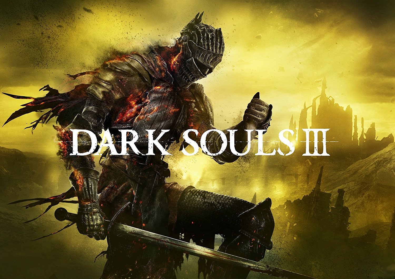 ds3